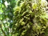 diegodeocampo - 09